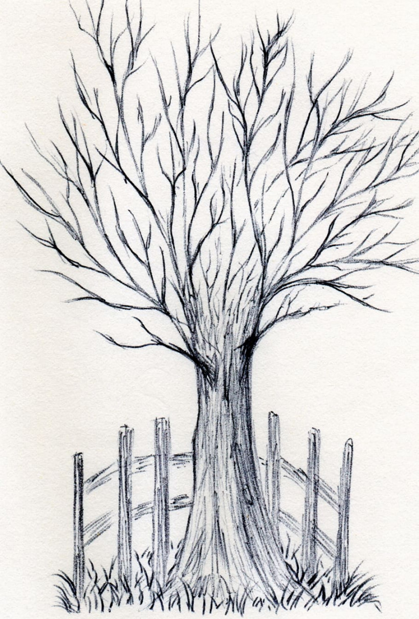 HD wallpaper: tree, art, drawn, pen, drawing, artwork, plant, bare