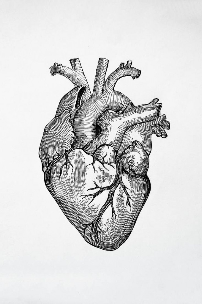 Heart reference i stole off the internet  Heart drawing