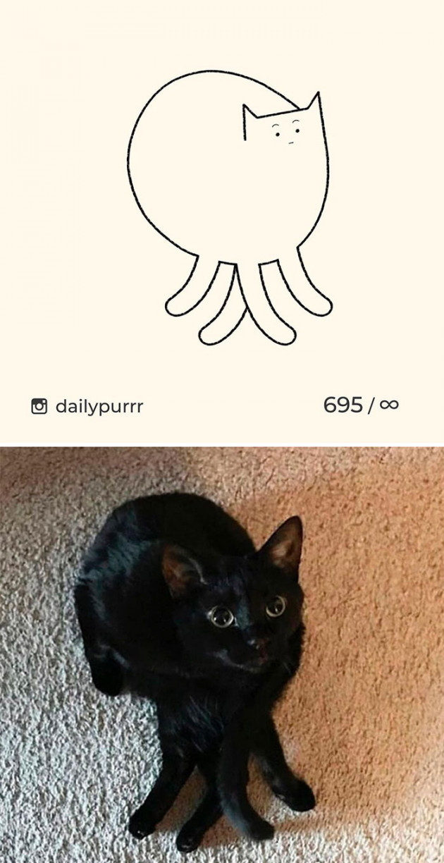 Here Are My  Really Bad Cat Drawings To Make You Laugh (New Pics