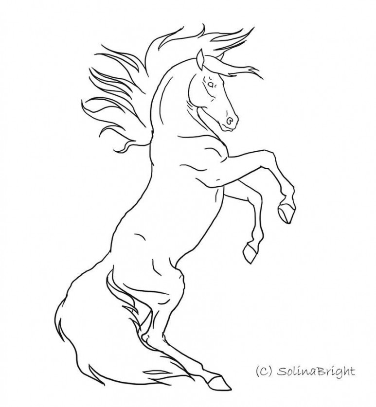Horse Rearing Lineart by SolinaBright on DeviantArt  Horse