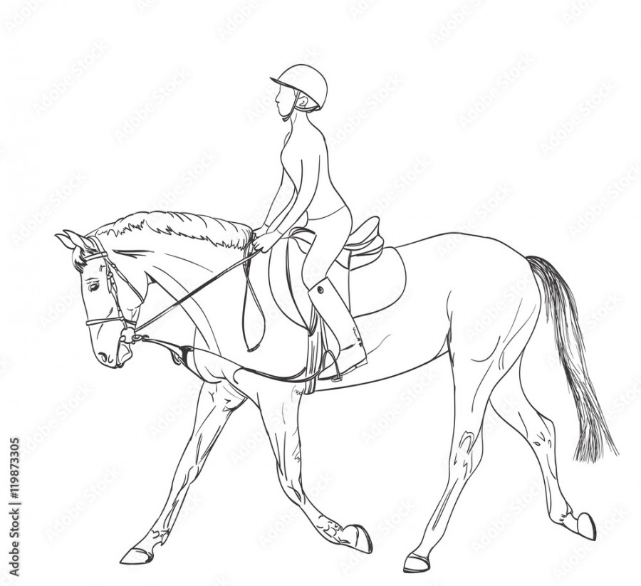 horse rider line art drawing