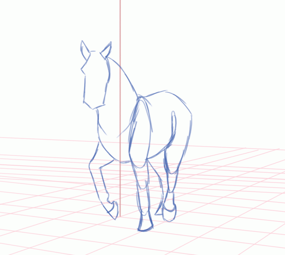 Horse trot on a / perspective