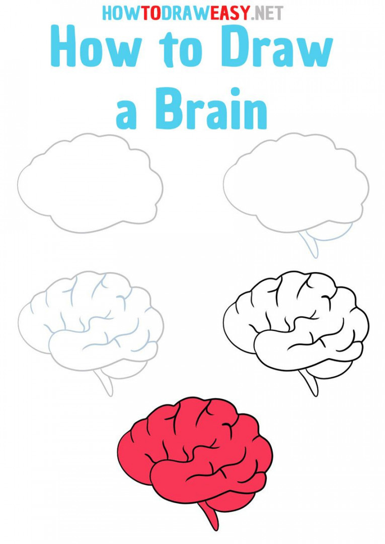 How to Draw a Brain Step by Step  Brain drawing, Easy drawings