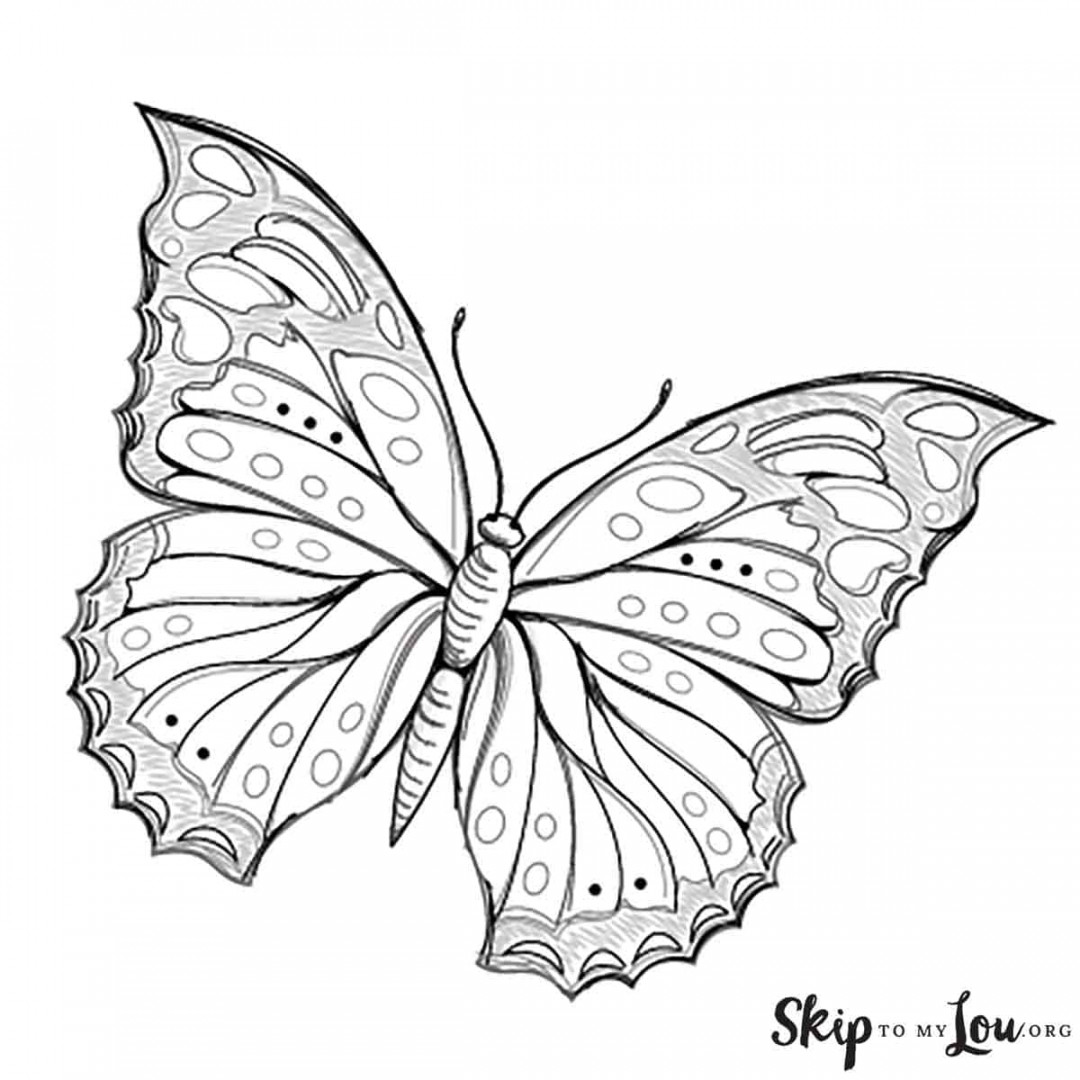 How to Draw a Butterfly Step by Step  Skip To My Lou