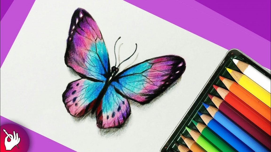 How to draw a butterfly with colored pencils - Pencil drawing