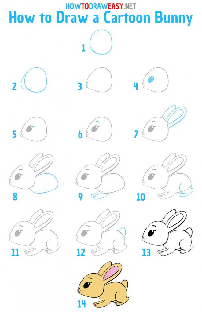 How to Draw a Cartoon Bunny Step by Step  Cute easy drawings, Art