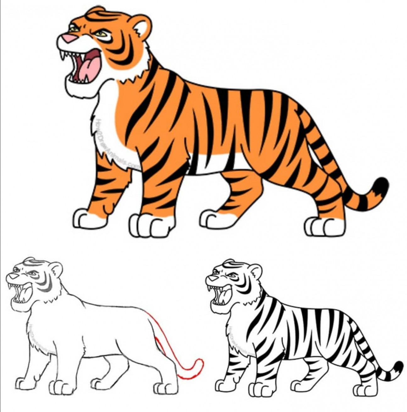 How to draw a cartoon tiger #tiger #cartoon #illustration