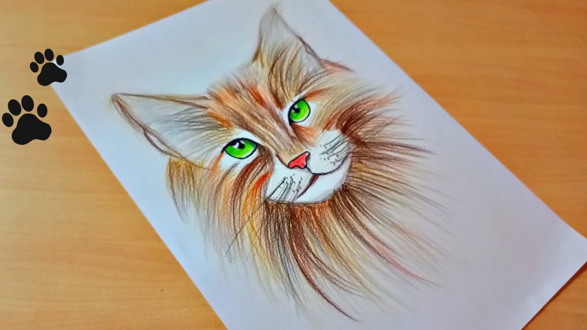 How to Draw a Cat  Easy Cat Drawing With Colored Pencils