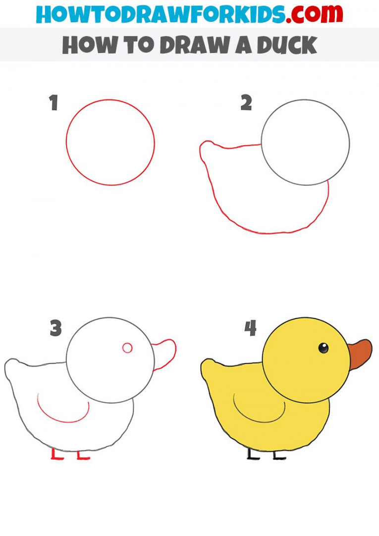how to draw a duck step by step  Toddler drawing, Easy drawings