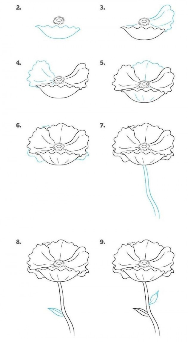 how-to-draw-a-flower-step-by-step-drawing-diy-tutorial-white