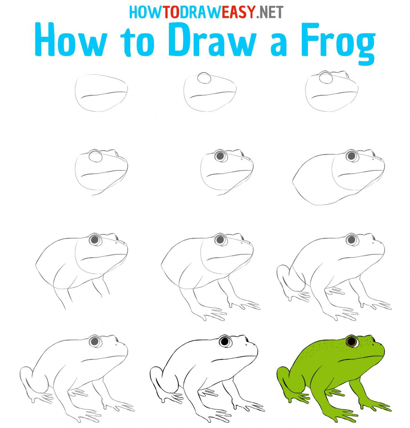 How to Draw a Frog Step by Step  Frog drawing, Easy drawings