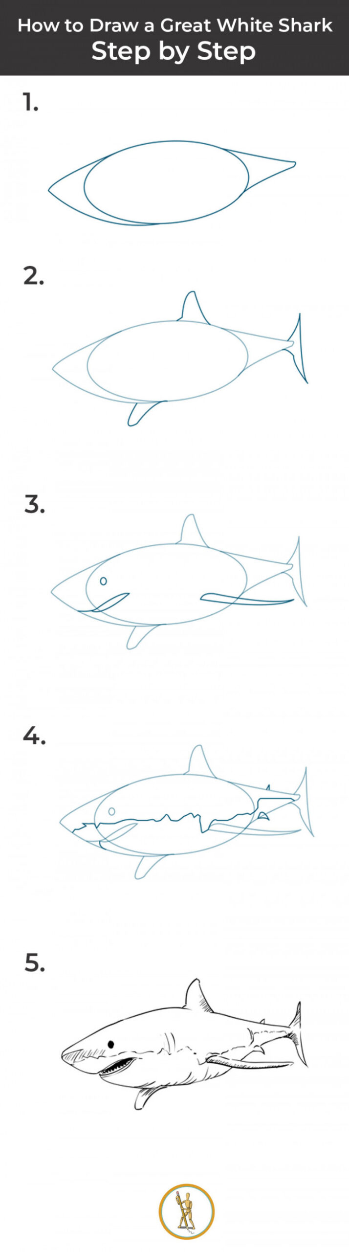 How to Draw a Great White Shark – Step By Step  SketchBookNation