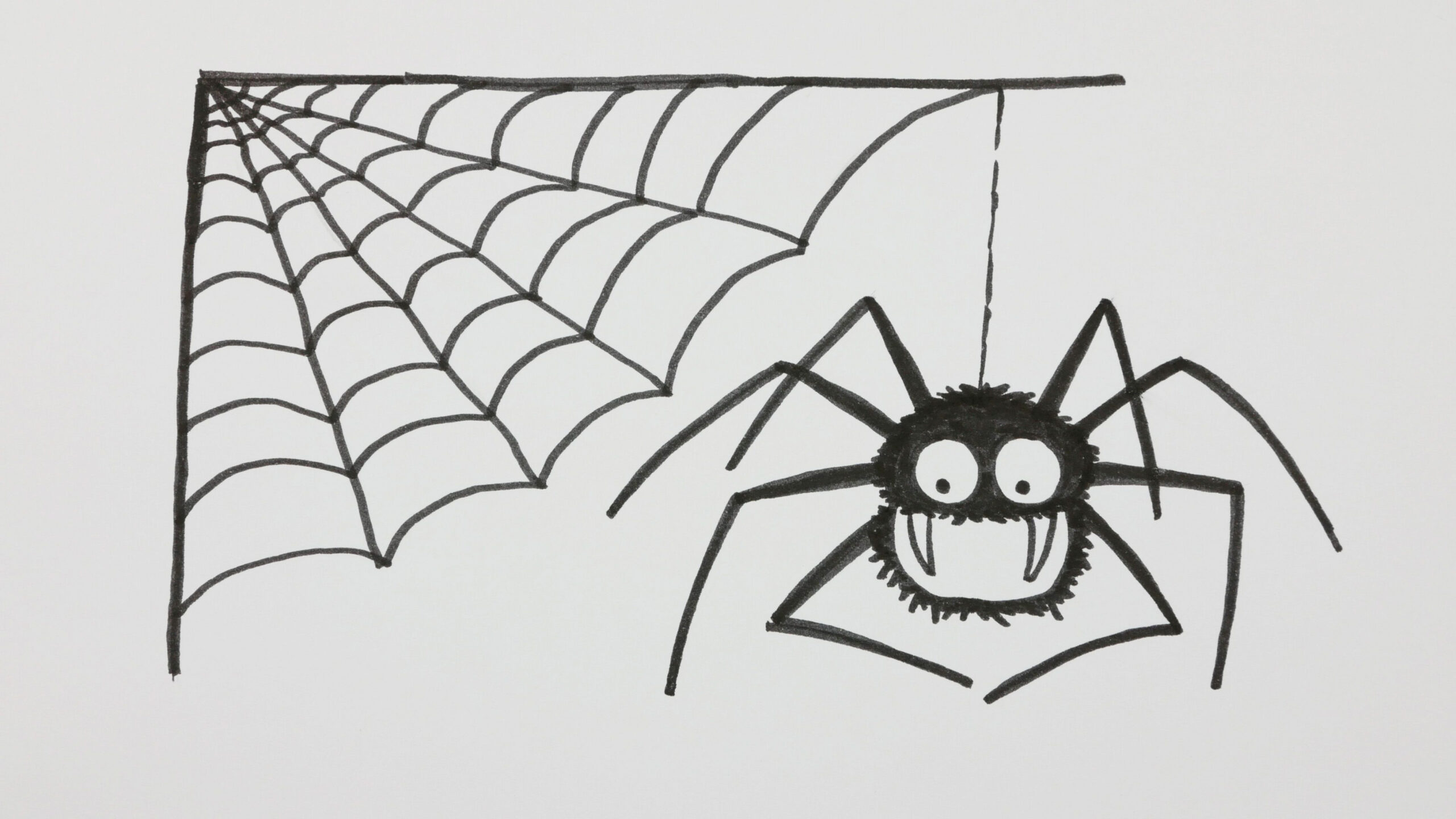 How to Draw a Halloween Spider with Spiderweb - Doodle Cartoon