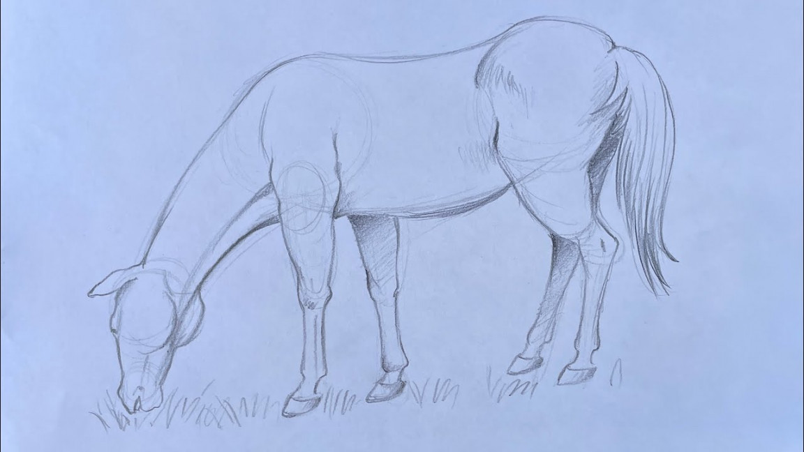 How to draw a horse grazing  Step by step