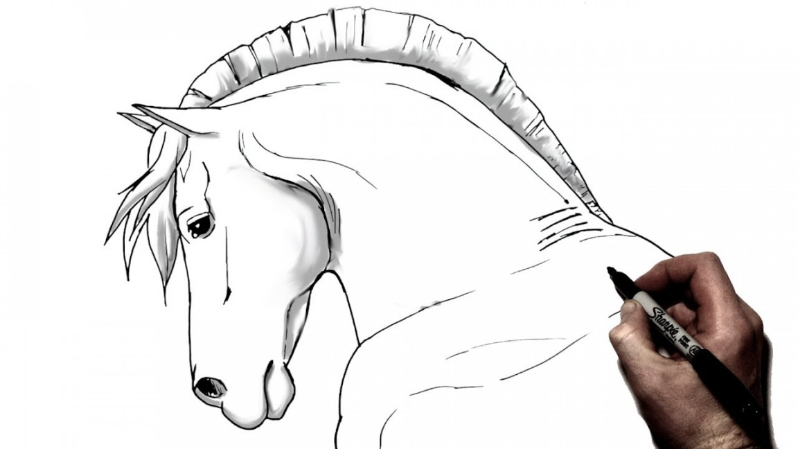 How To Draw A Horse  Step by Step  Side View