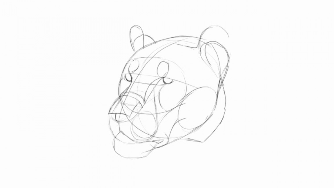 How to draw a lion head