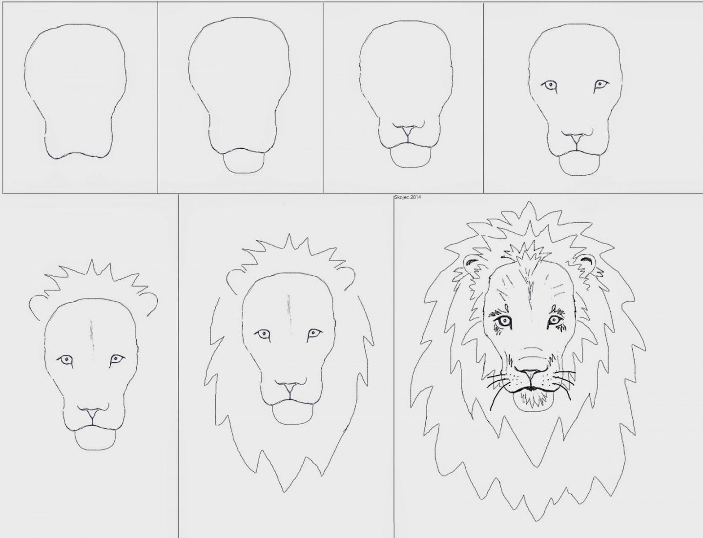 How to draw a lion  Lion art, Lion face drawing, Class art projects