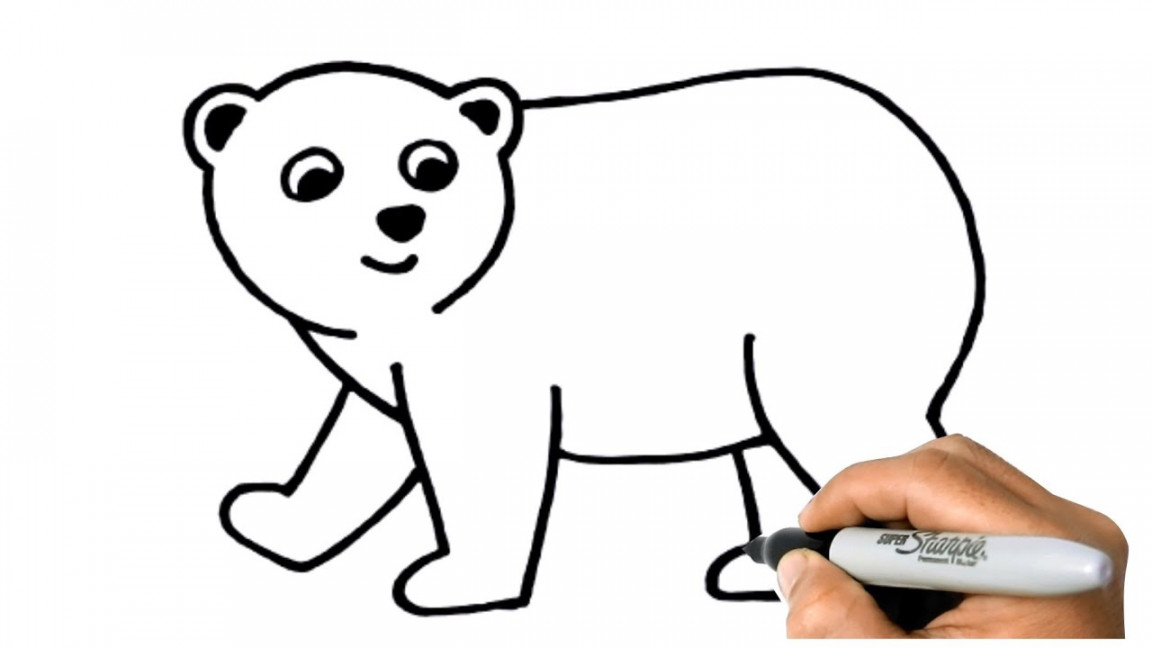 How to DRAW A POLAR BEAR Step by Step  Polar Bear Easy Drawing Lesson