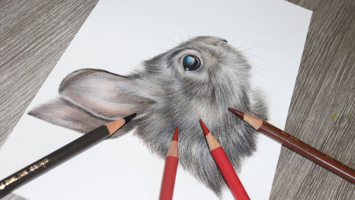 How to Draw a Rabbit in Colored Pencils