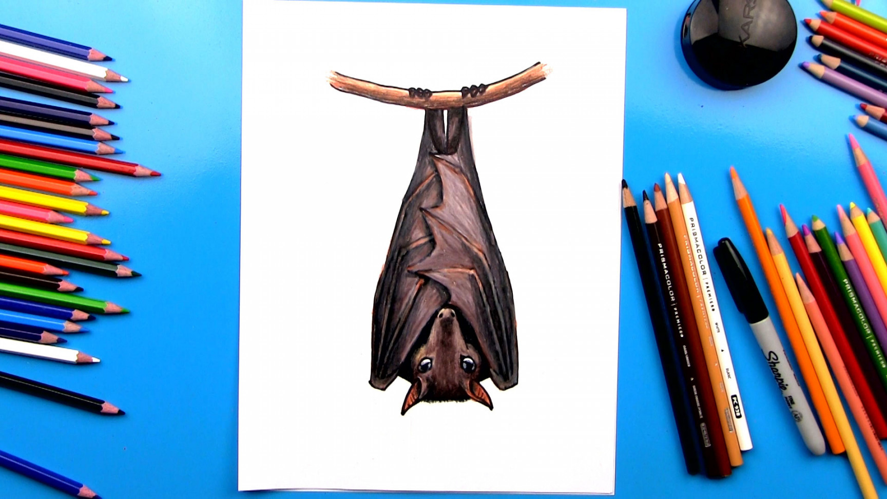 How To Draw A Realistic Bat - Art For Kids Hub -