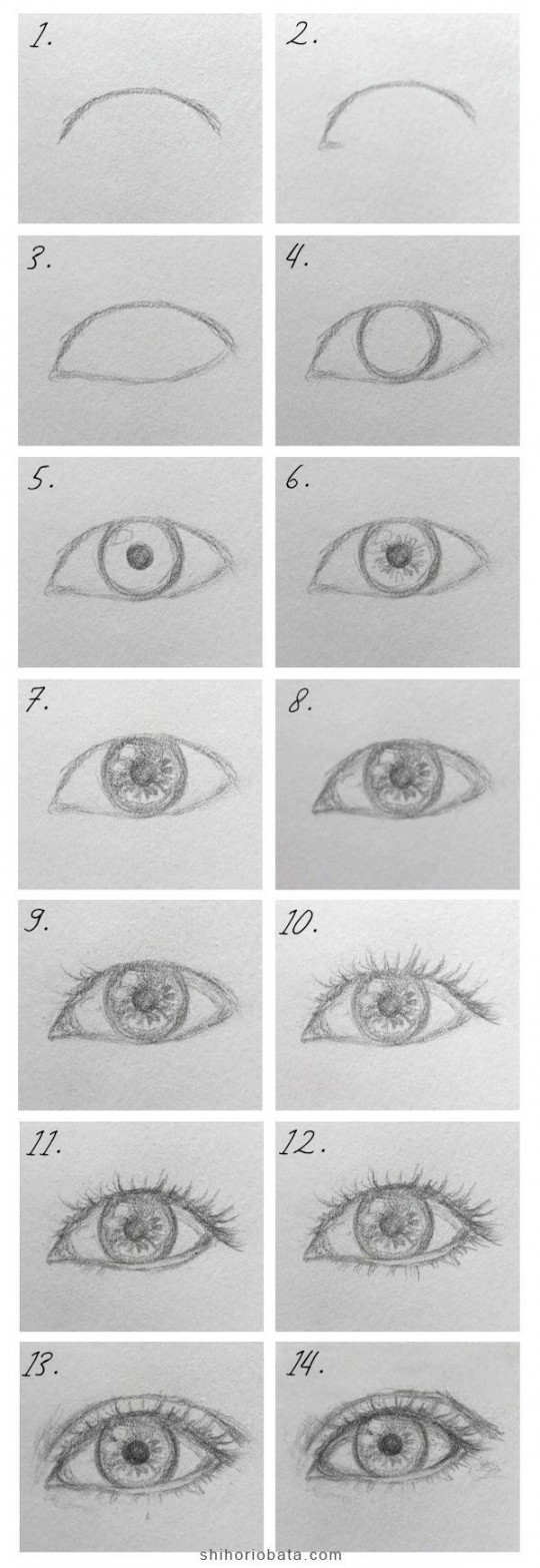 How to Draw a Realistic Eye: An Easy Step by Step Guide  Easy eye