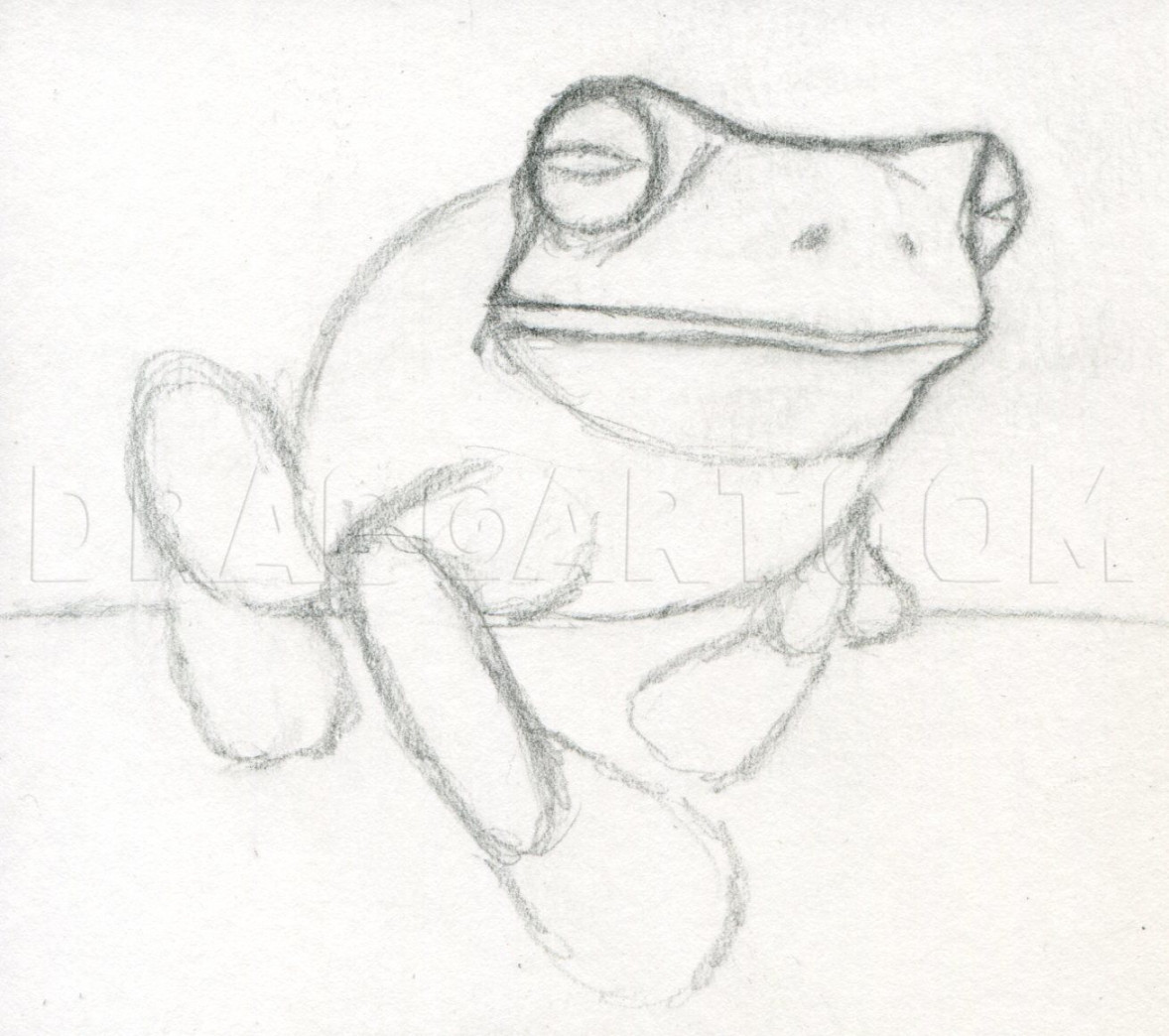 How To Draw A Realistic Frog, White-lipped Tree Frog, Step by Step