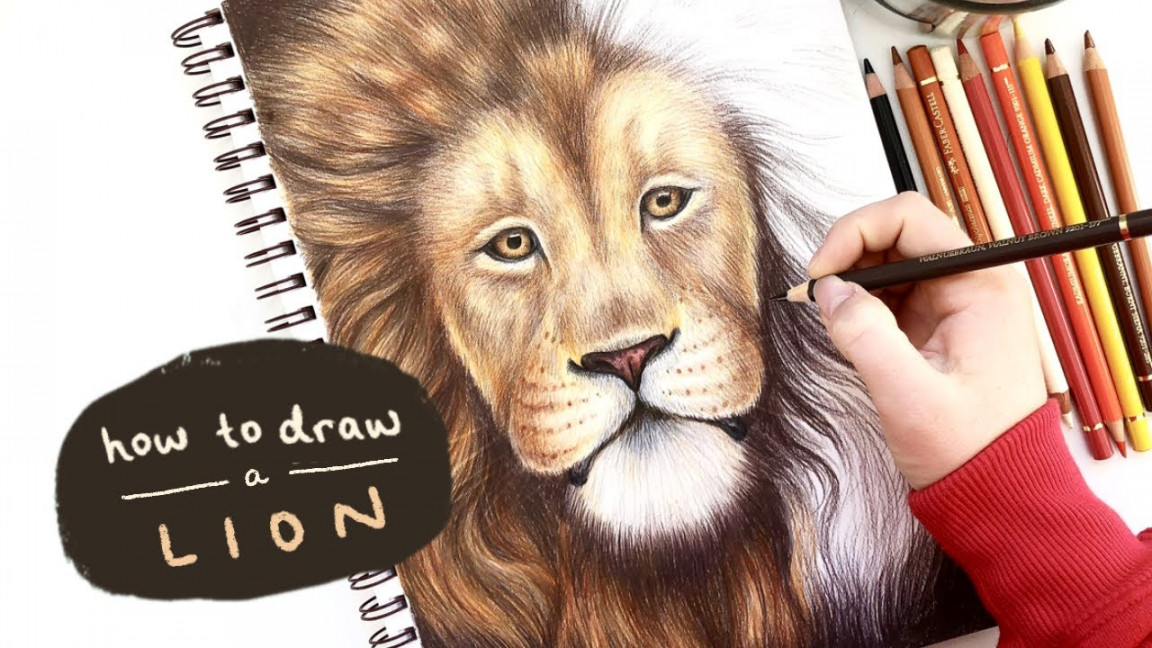 HOW TO DRAW A REALISTIC LION  with coloured pencils