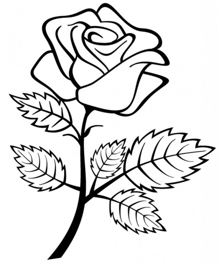 + How to Draw a Rose? Easy Rose Drawing Tutorials  HM ART