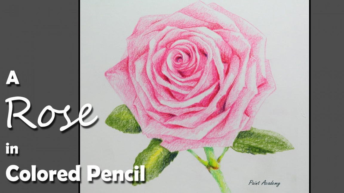 How to Draw A Rose in Colored Pencil