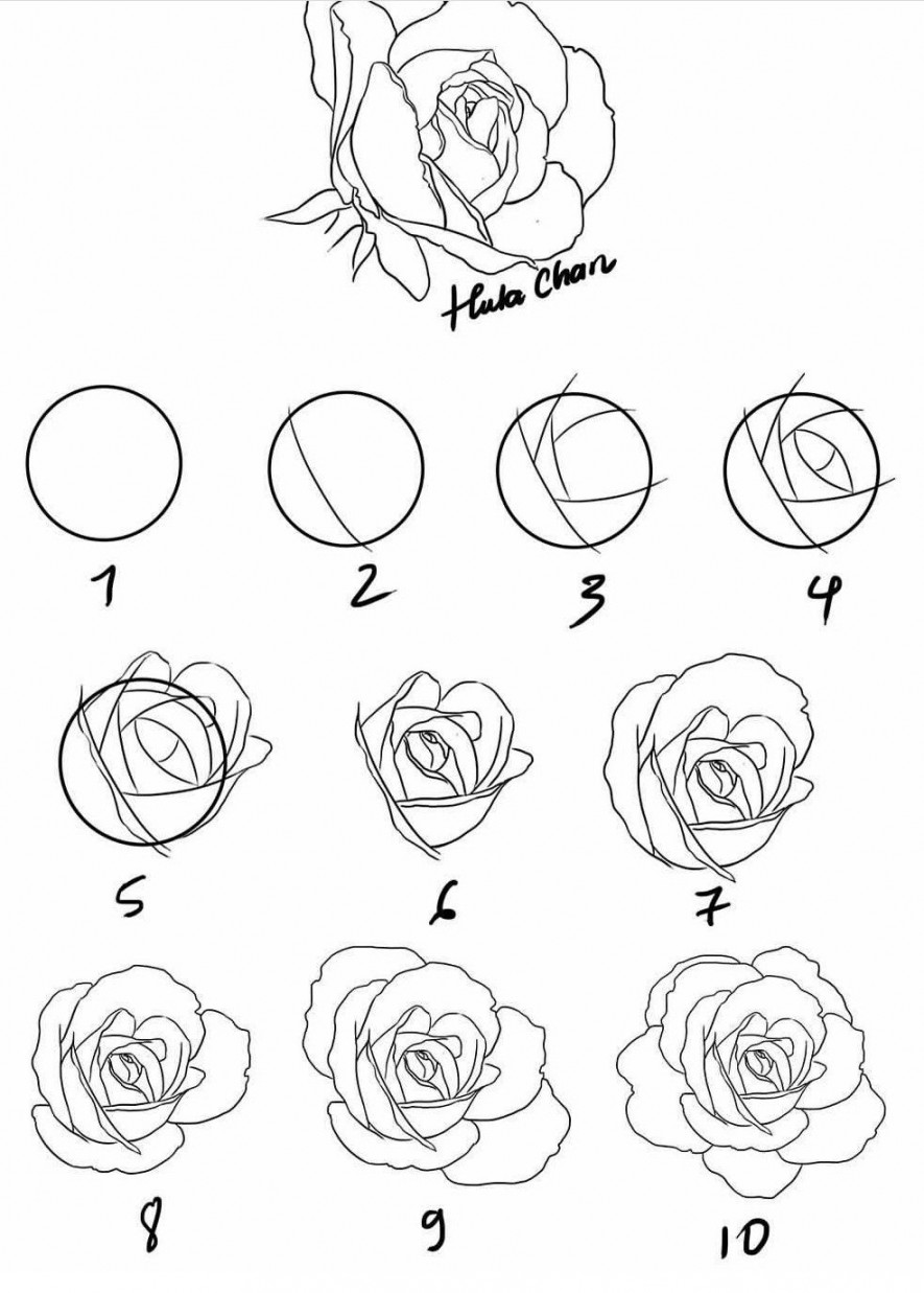 How to draw a rose  Roses drawing, Flower drawing, Flower drawing