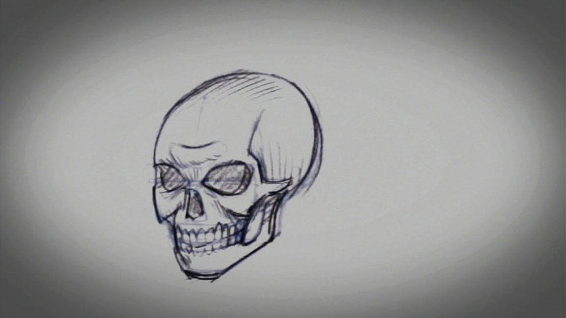 How to Draw a Skull  Drawing Tips