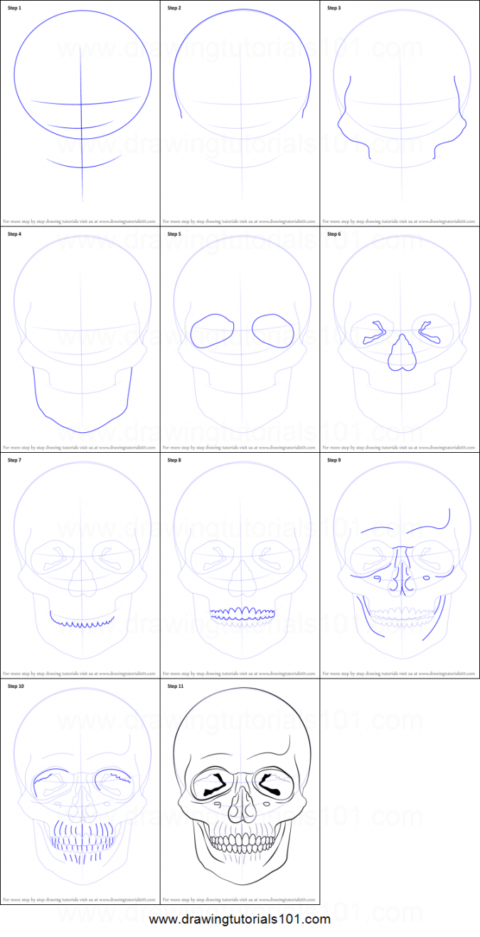 How to Draw a Skull printable step by step drawing sheet