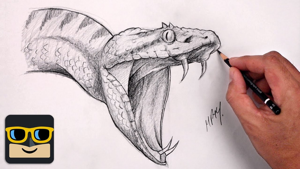 How To Draw A Snake  Reptile Sketch Tutorial