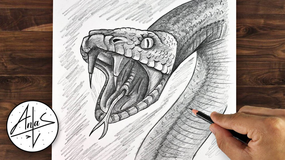 How To Draw A Snake  Sketch Tutorial