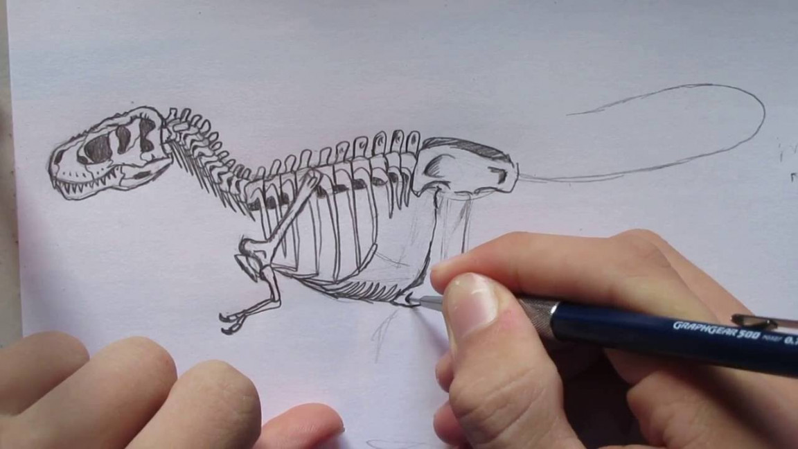 How to Draw a T. rex Skeleton