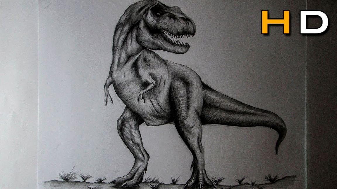 How to Draw a T Rex With Pencil Step by Step - Drawing Realistic Dinosaur