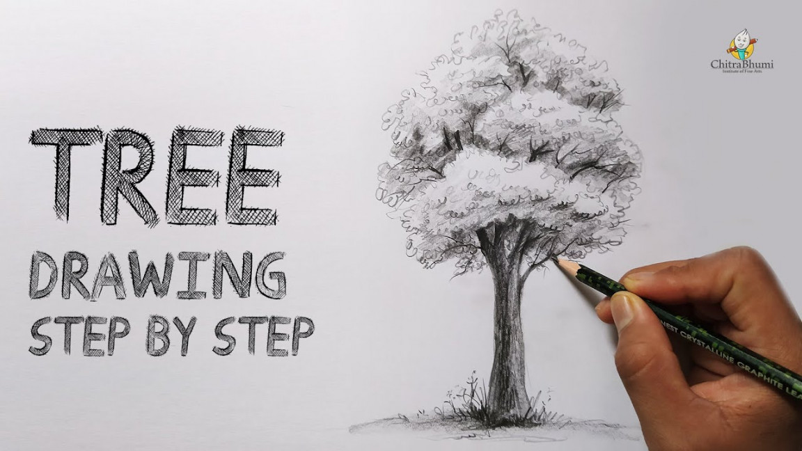 How To Draw a Tree  Easy Step By Step  Pencil Drawing Shading  Tree with  Leaves