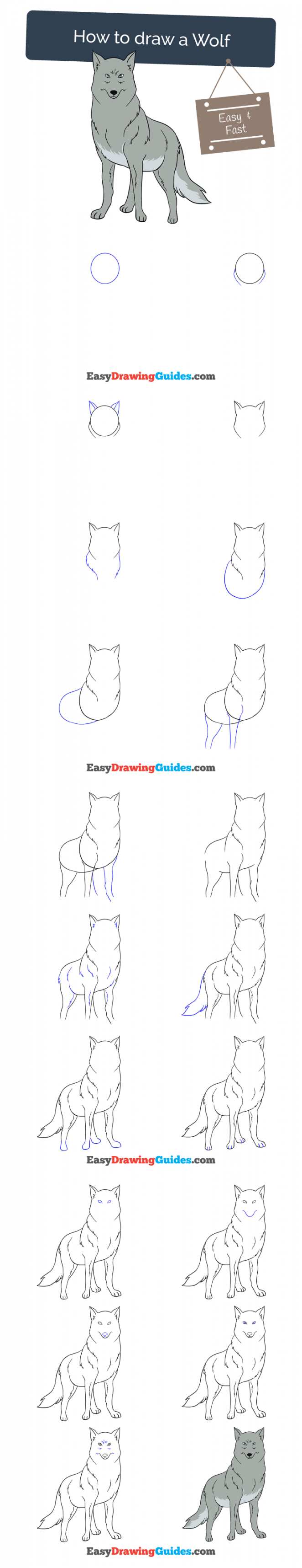 How to Draw a Wolf - Really Easy Drawing Tutorial  Drawing