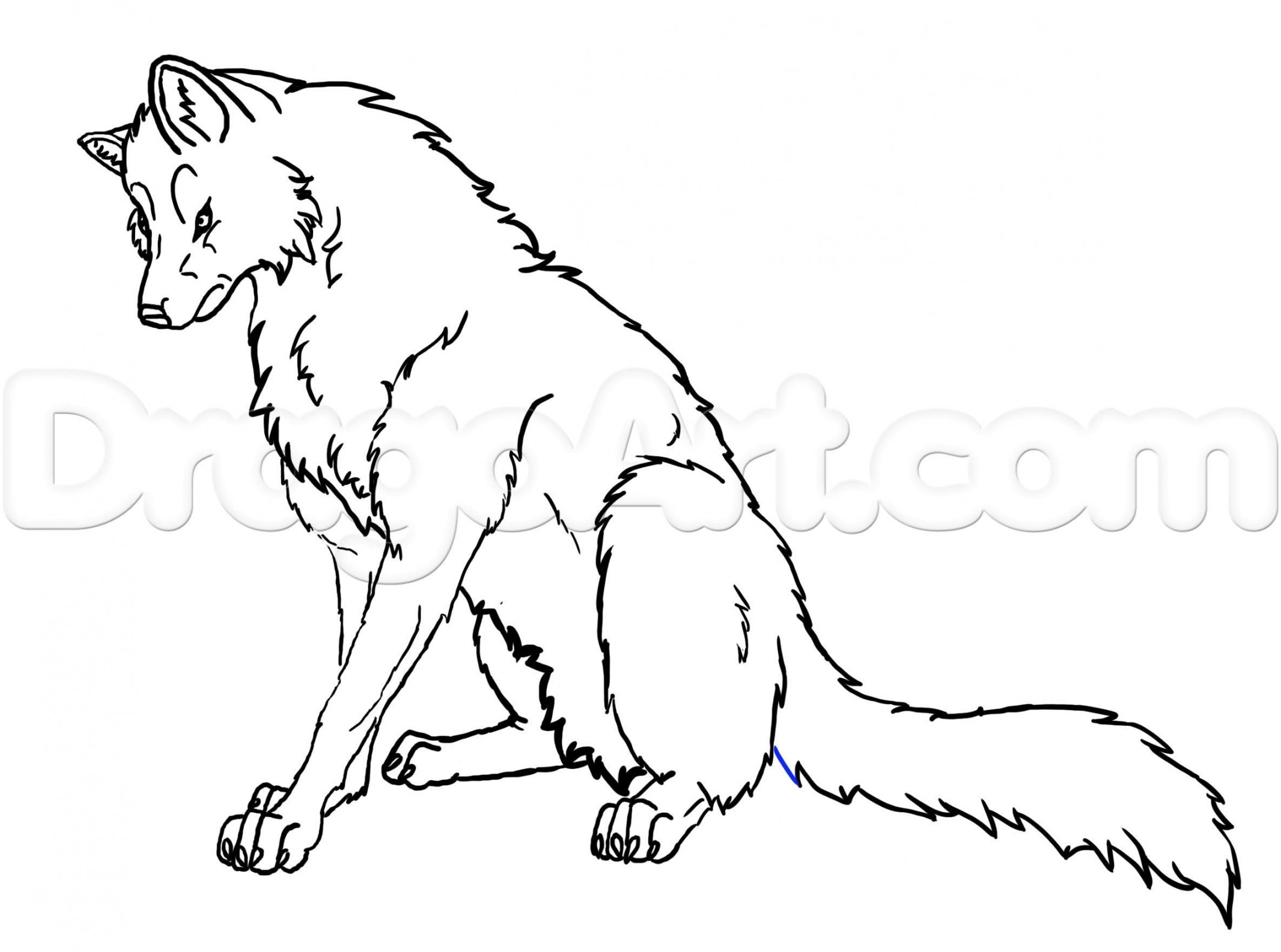 How to Draw a Wolf Sitting, Step by Step, forest animals, Animals