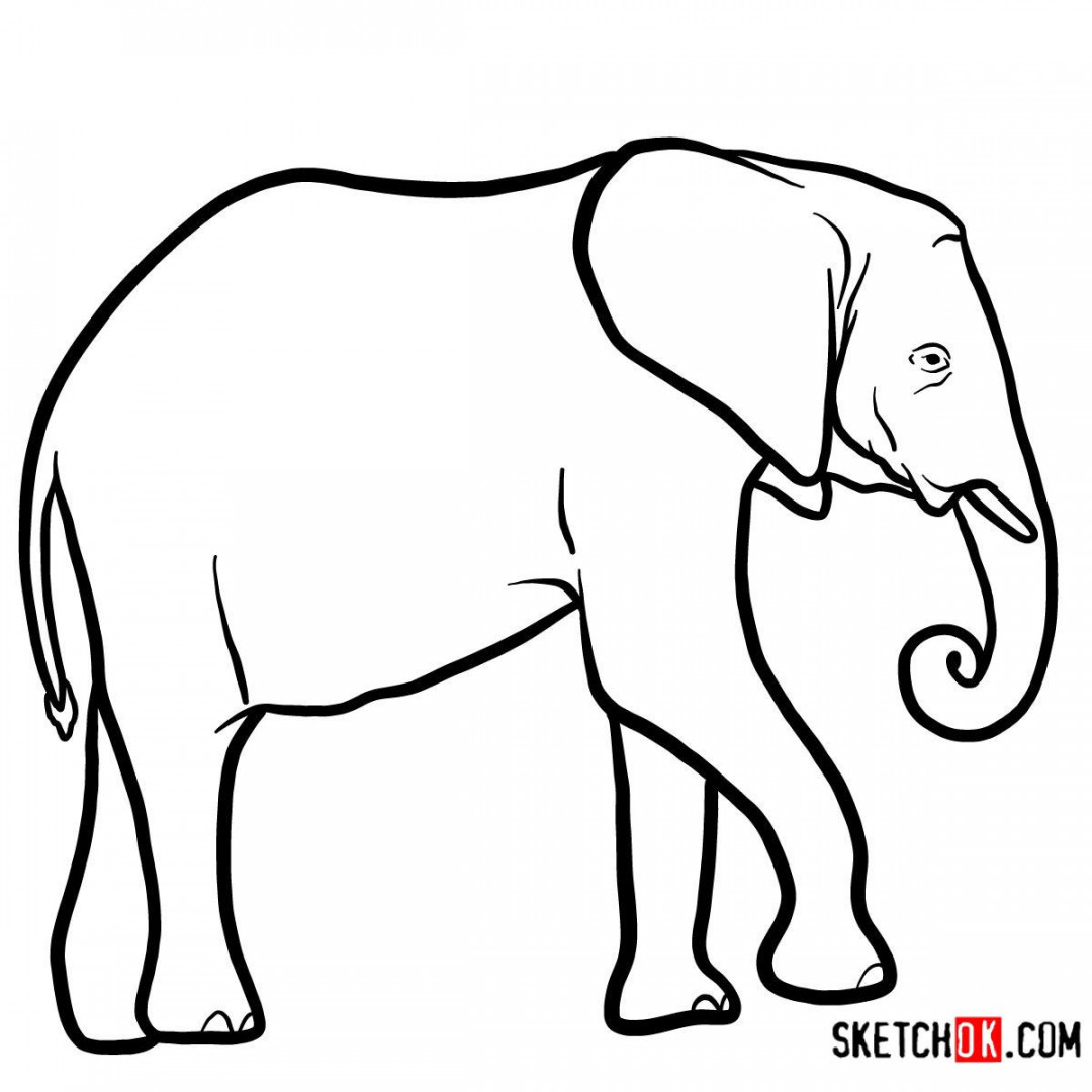 How to draw an Elephant side view  Wild Animals  Elephant