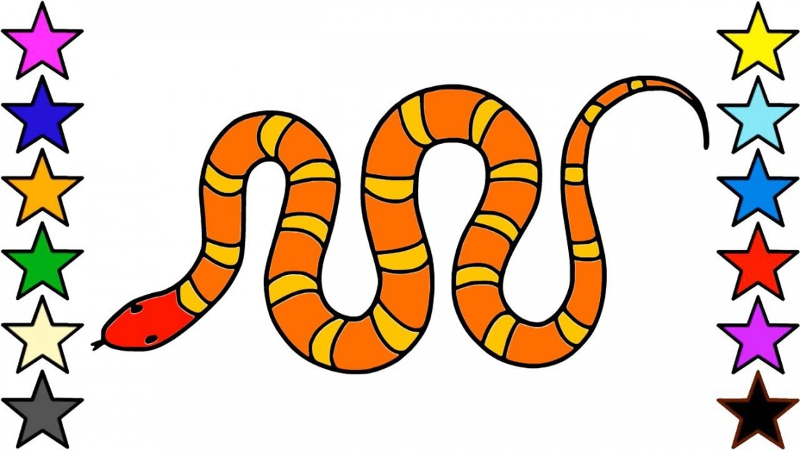 How to Draw and Color a Snake for Kids  Learn Color and Drawing for Chi   Snakes for kids, Drawing for kids, Learning colors