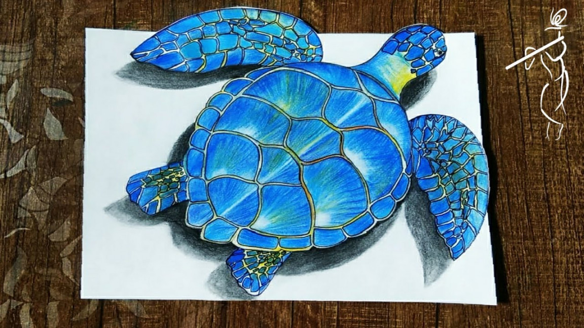 How to draw d Turtle step by step  D Drawing with pencil  How To draw  sea turtle