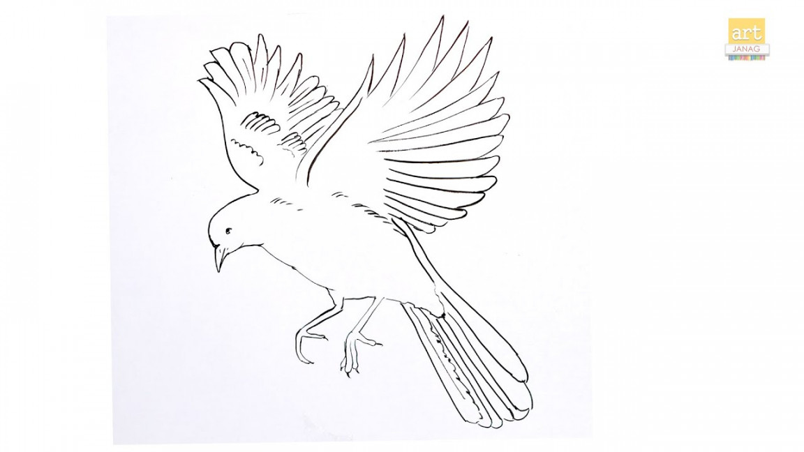 How to draw Flying Bird II Flying Bird drawing II Part  II #artjanag