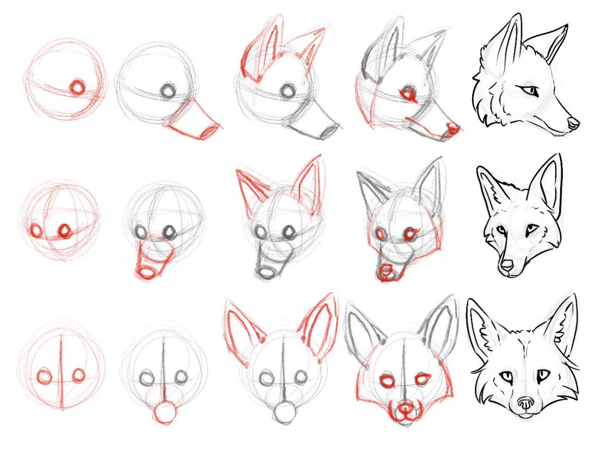 How to draw fox head: Sphere (with eyes), weird cylinder for