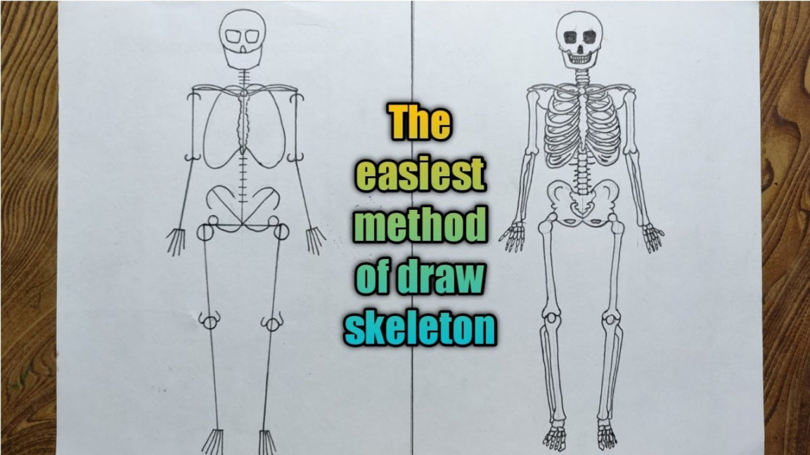How to draw human skeleton step by step very easy method
