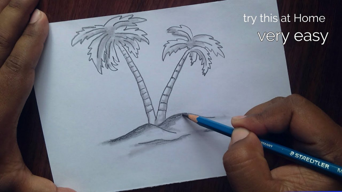 How to draw palm tree step by step for Beginners