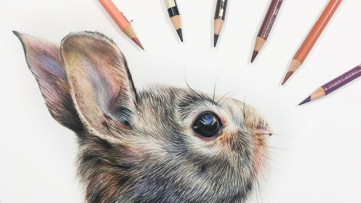 How To Draw: RABBIT EYE in COLORED PENCIL