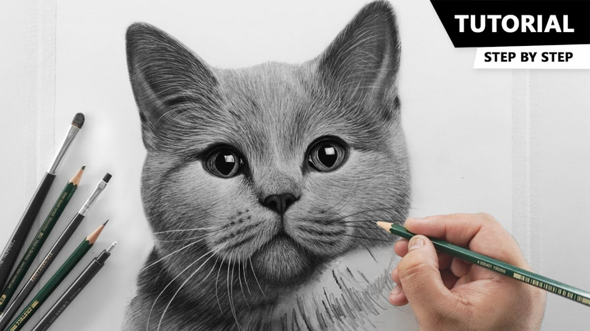 How to Draw Realistic Cat for BEGINNERS  Fur Drawing Technique