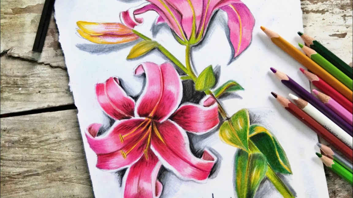 How to Draw Realistic Flower with Colored Pencil #Drawing #pencildrawing