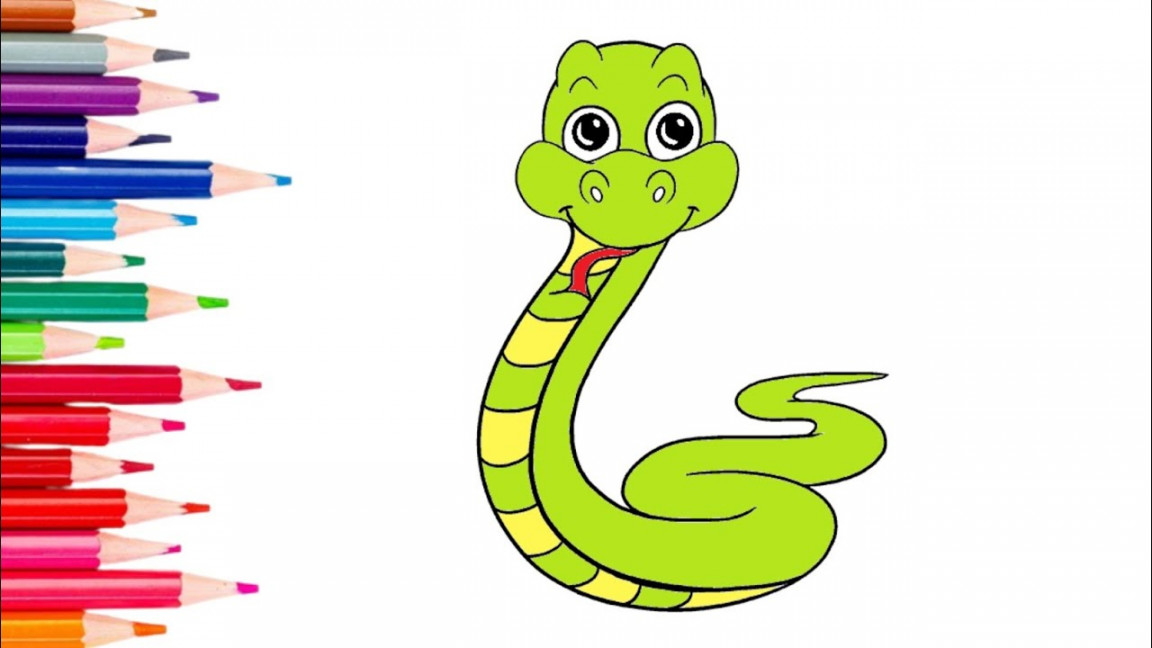 How to Draw Snake  Cute Snake Drawing  Easy snake drawing